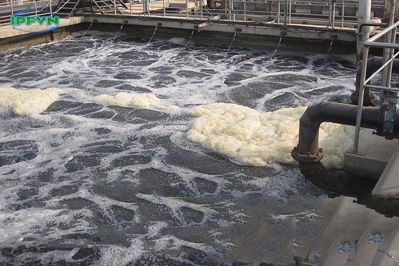 Nguyên nhân phát sinh mùi hôi phát sinh từ hệ thống xử lý nước thải