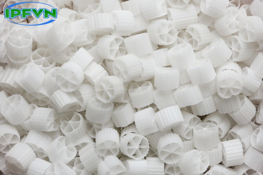 Giá thể vi sinh là gì