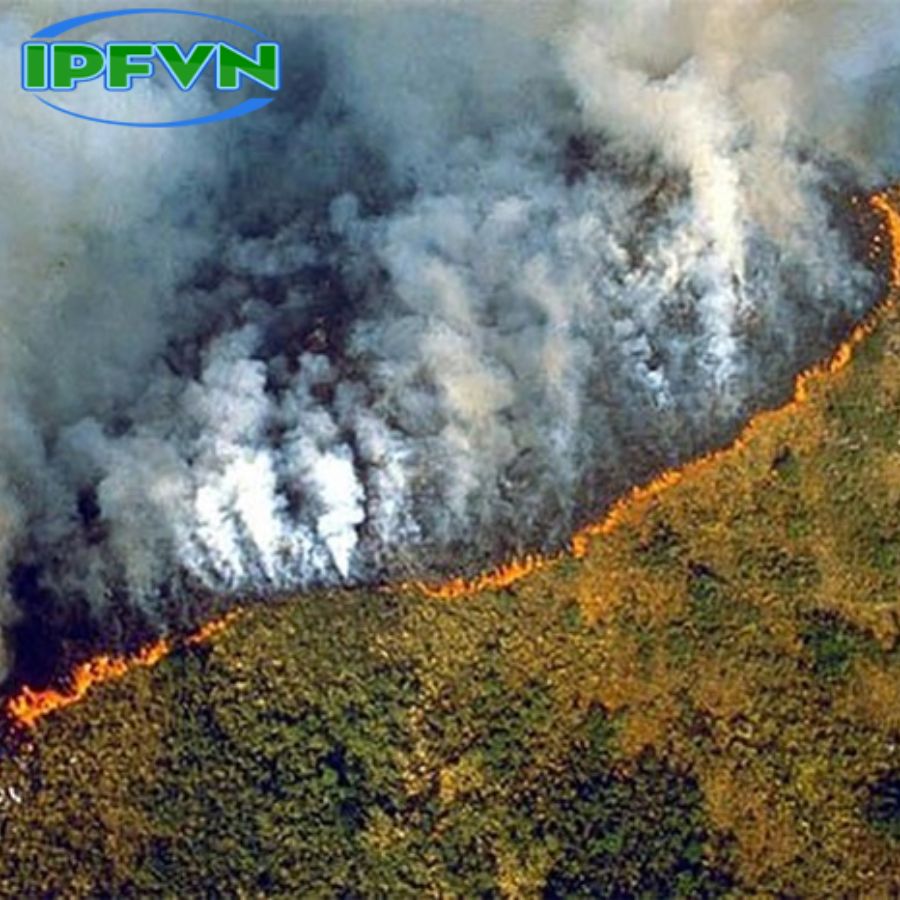 Khí thải có nguyên do từ thảm họa tự nhiên