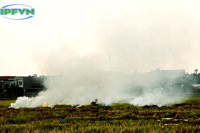 Khí thải nông nghiệp