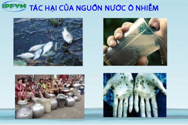 Những hậu quả tác động của ô nhiễm nước thải