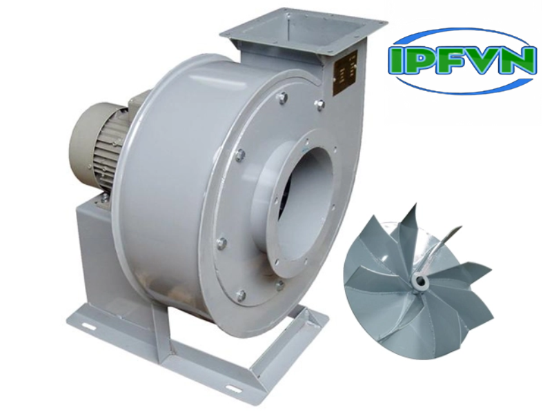 quat-ly-tam-cao-ap -1