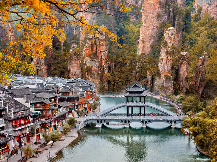 truong-gia-gioi.jpg