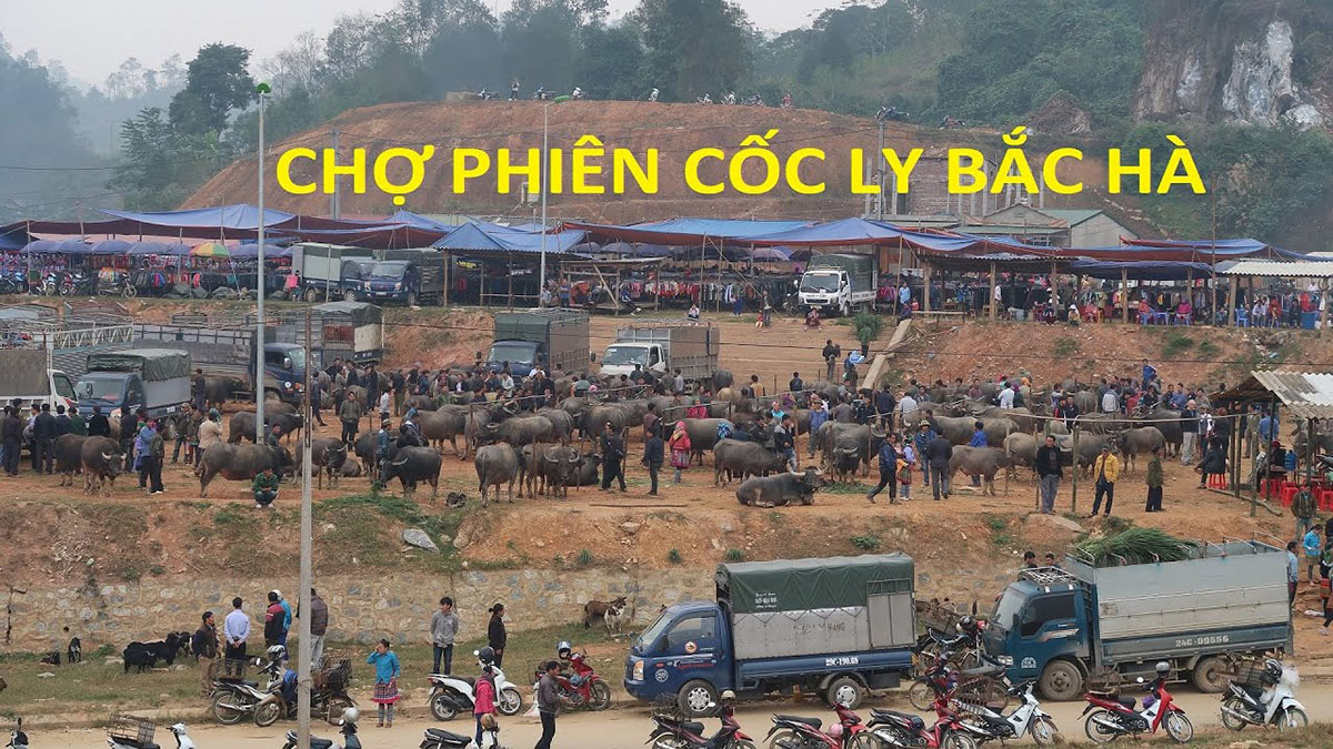 Chợ phiên Sapa - Du lịch Sapa