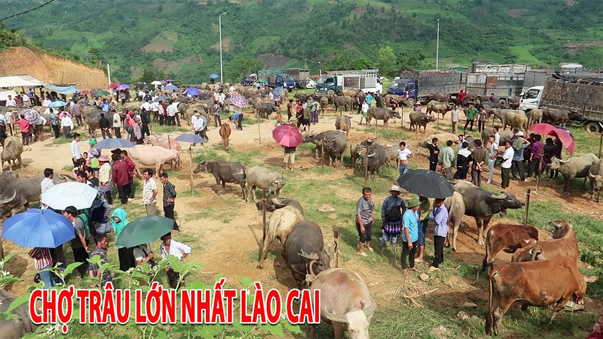 Chợ phiên Sapa - Du lịch Sapa
