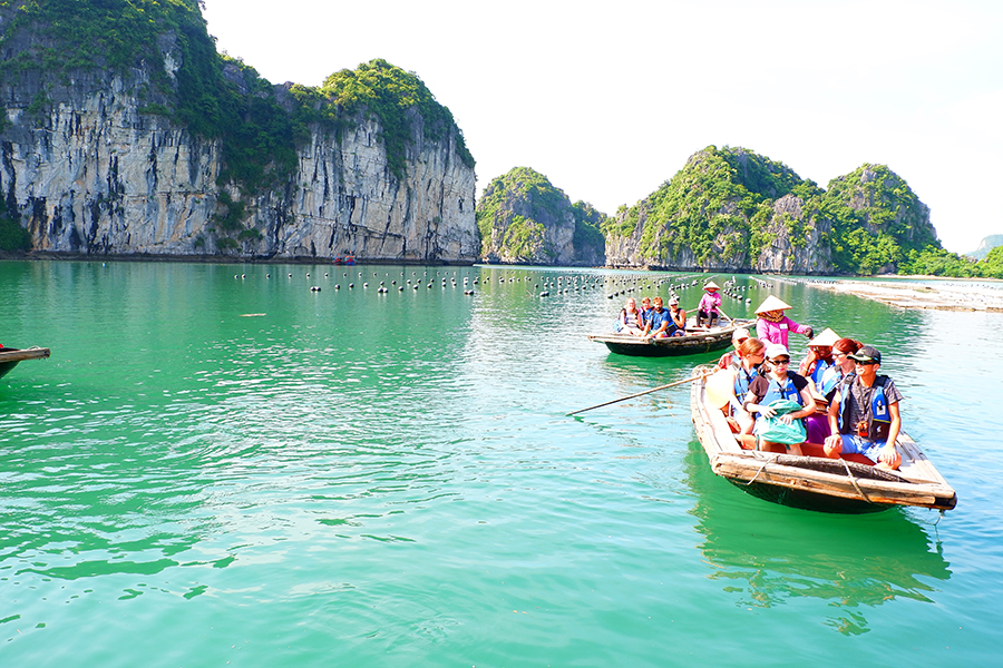 Hoạt động