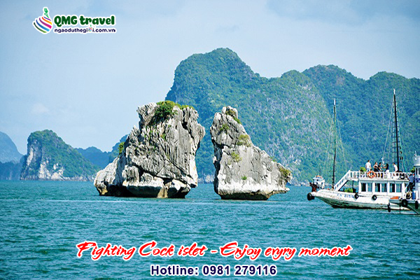 Hòn Gà Chọi-QMG travel