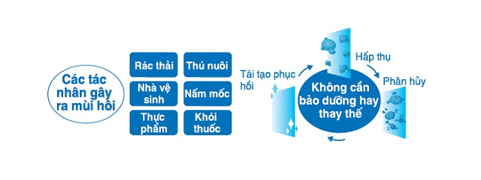 Khả năng khử mùi hiệu quả