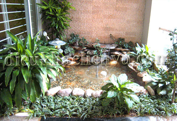 Vườn nước đẹp