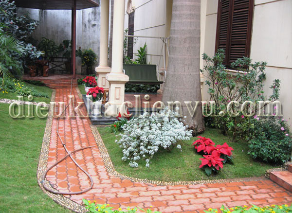tiểu cảnh sân vườn biệt thự
