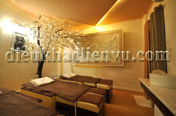 tiểu cảnh Spa phu dieu