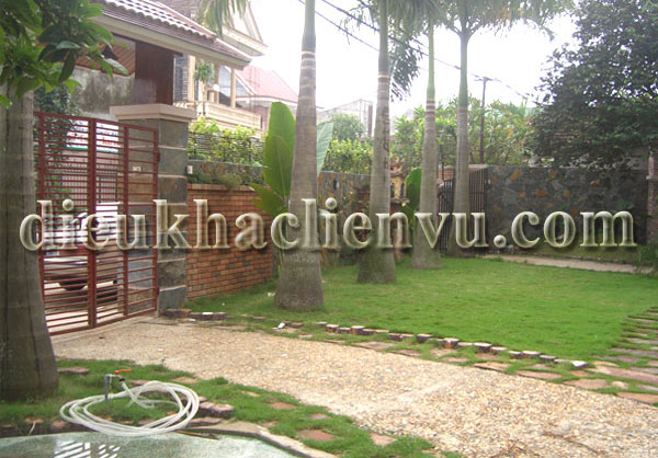 mẫu tiểu cảnh sân vườn đẹp