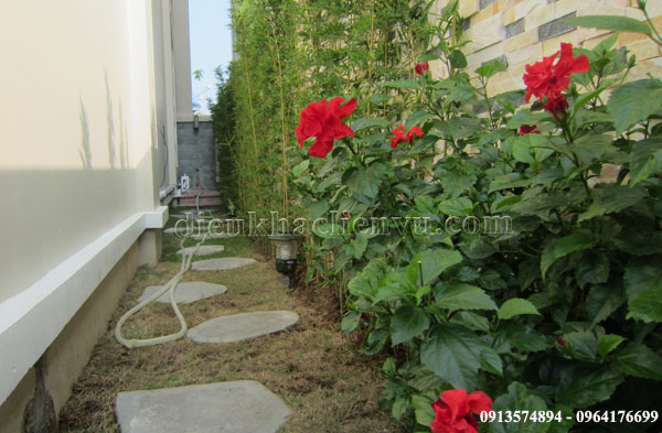 vườn đẹp trong phố