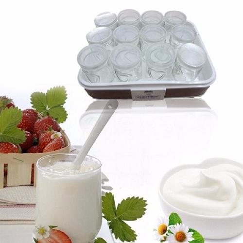 MÁY LÀM SỮA CHUA CHEFMAN 12 CỐC THỦY TINH