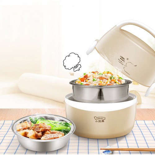 Hộp cơm điện lotor