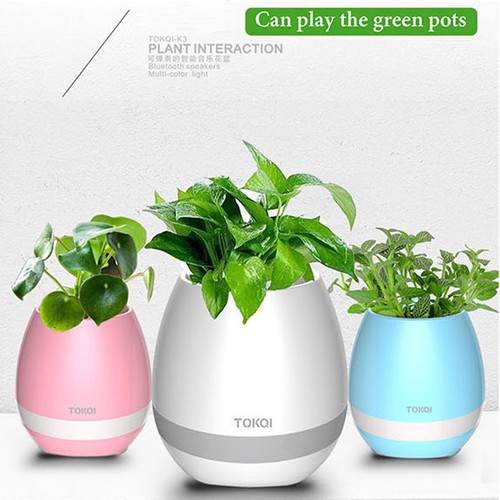 Loa bluetooth kiêm chậu cây K3