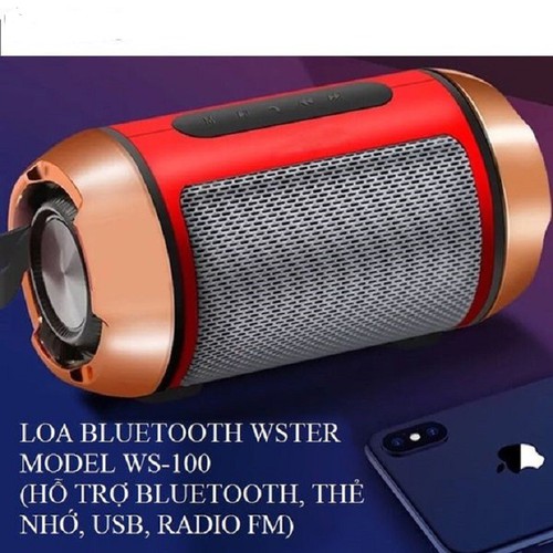 LOA BLUETOOTH WS 100
