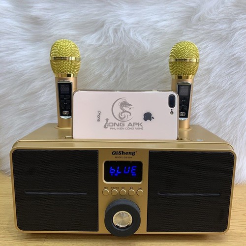Loa Karaoke Bluetooth QiSheng QS - 309 kèm 2 micro không dây