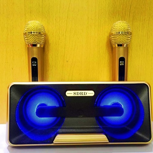 Loa nghe nhạc bluetooth SD 301 - 2 mic