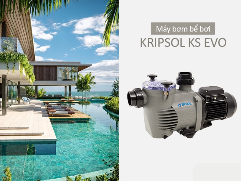 máy bơm bể bơi