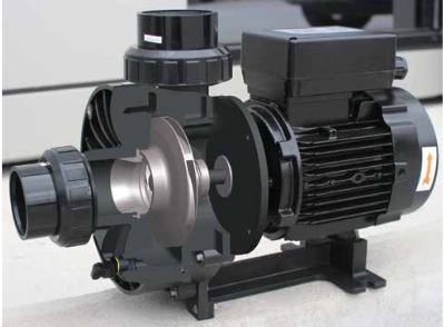 Máy bơm massage Waterco Turboflo 250