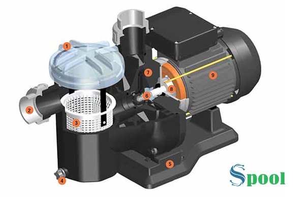 Cấu tạo bơm Astral Sena 1/3HP