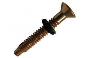 Đinh vít đèn hồ bơi