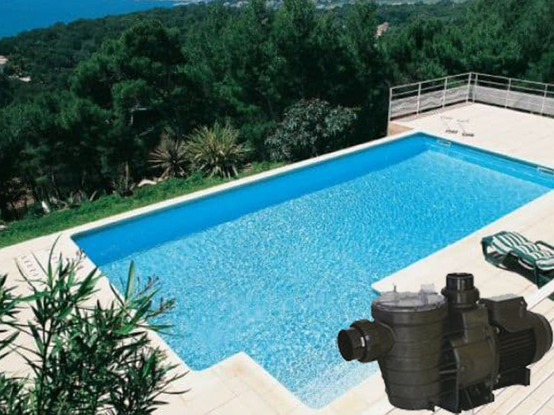 máy bơm hồ bơi waterco