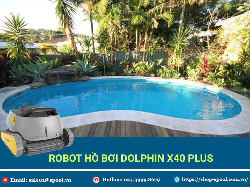 robot hồ bơi dolphin