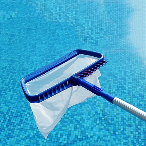 Vợt vớt rác hồ bơi