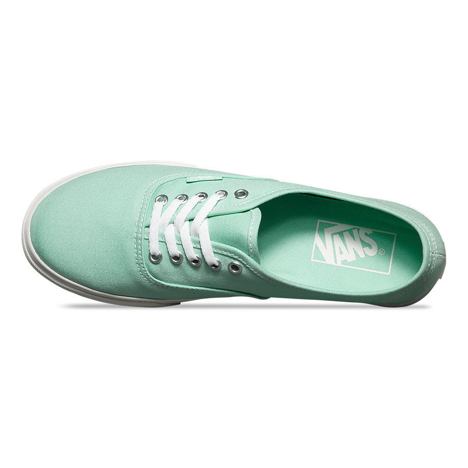 VANS Việt Nam - VANS AUTHENTIC LO PRO GOSSAMER GREEN VN000XRNIMA