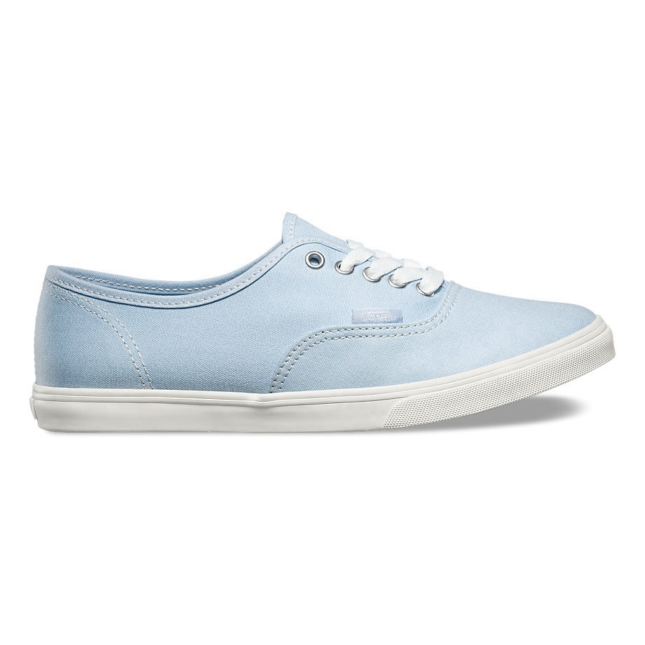 VANS Việt Nam - VANS AUTHENTIC LO PRO SKYWAY VN000XRNIYZ