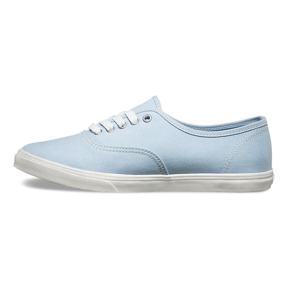 VANS Việt Nam - VANS AUTHENTIC LO PRO SKYWAY VN000XRNIYZ