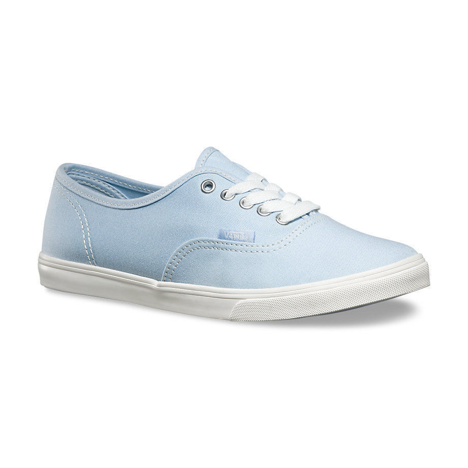 VANS Việt Nam - VANS AUTHENTIC LO PRO SKYWAY VN000XRNIYZ