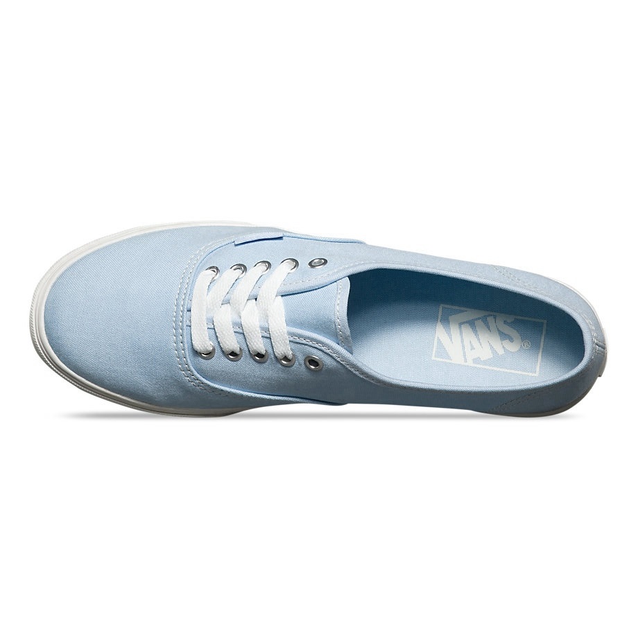 VANS Việt Nam - VANS AUTHENTIC LO PRO SKYWAY VN000XRNIYZ