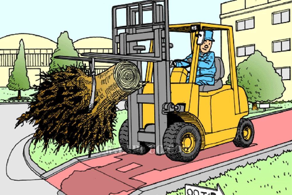 Xử lý các tình huống xe nâng
