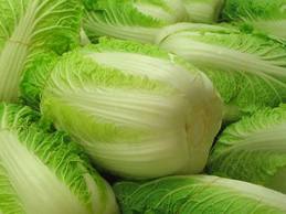 CÂY CẢI THẢO TRUNG QUỐC ĐƯỢC BẢO QUẢN BẰNG CHẤT ƯỚP XÁC