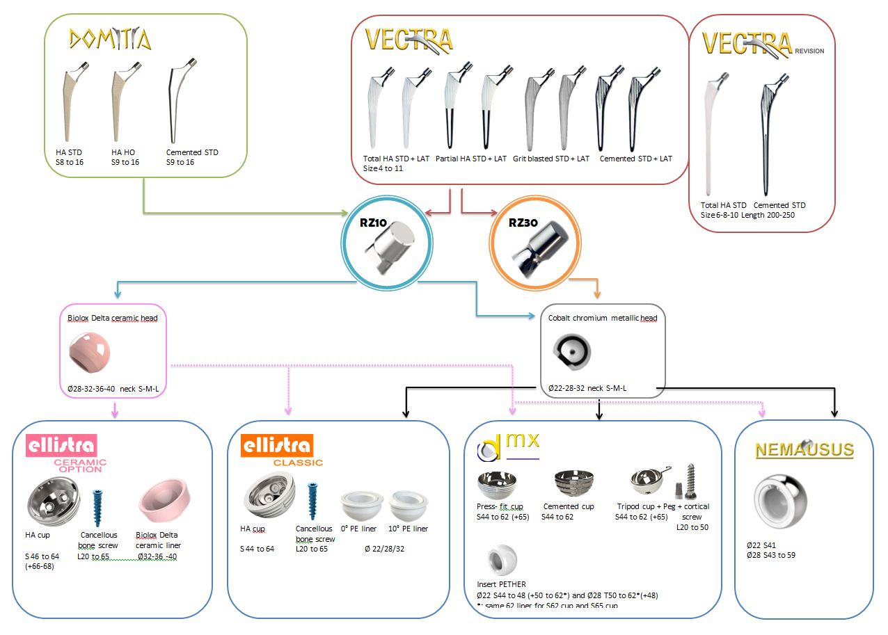 ARTHROPLASTY /TRANSYSTEME FRANCE