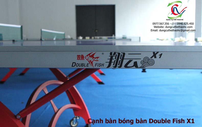 bàn bóng bàn Double Fish