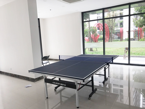 Bàn bóng bàn VnSport MDF-06 25mm