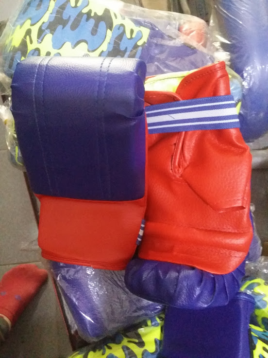 găng tay đấm bốc tại thể thao hc