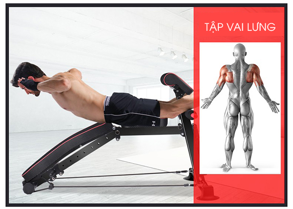 gập bụng úp cùng Ghế Tập Tạ KK-022D