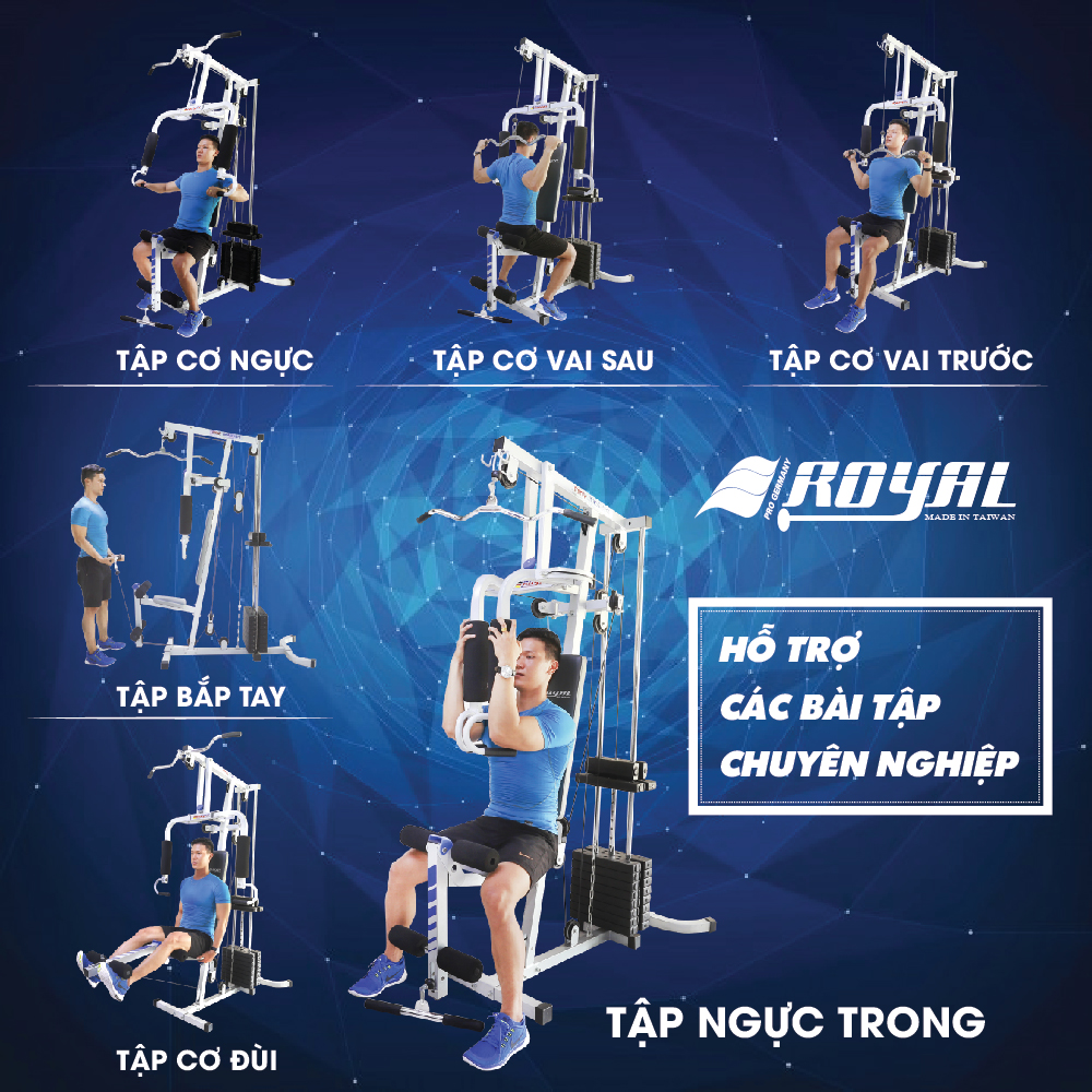 các bài tập với giàn tạ royal 200