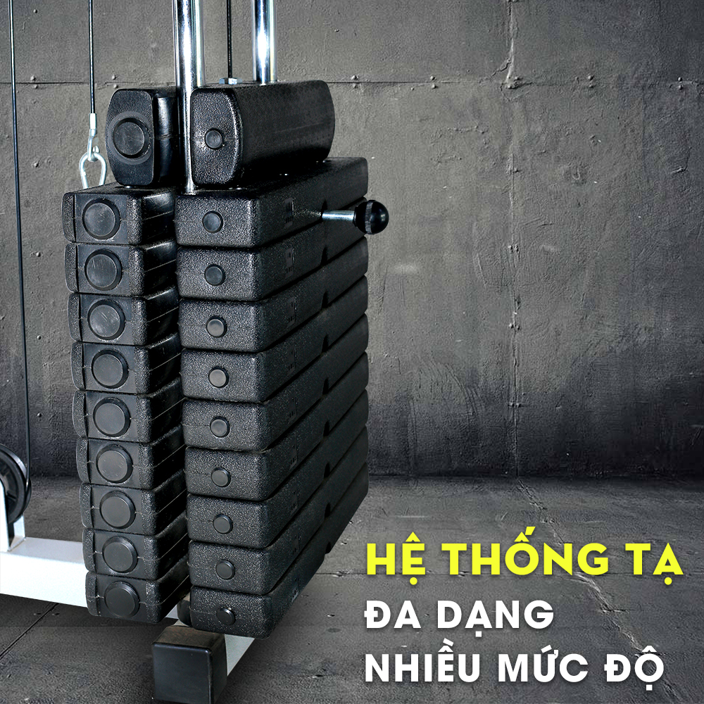 bánh tạ đi kèm với giàn tạ royal 200