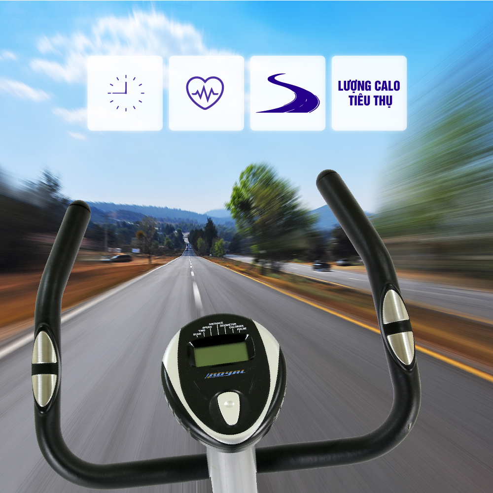 Tay cầm của xe đạp tập royal 561C