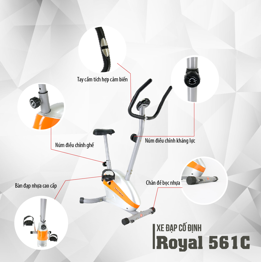 Đồng hồ của xe đạp tập royal 561C
