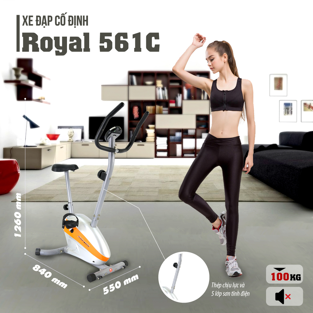 Hệ thống điều chỉnh kháng lực của xe đạp tập royal 561C