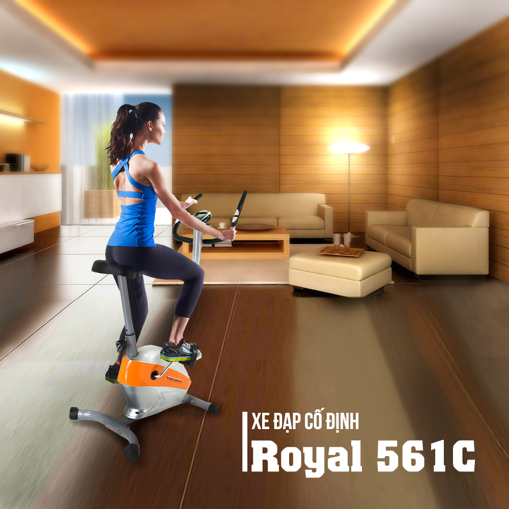 Máy tập đạp xe Royal 561C