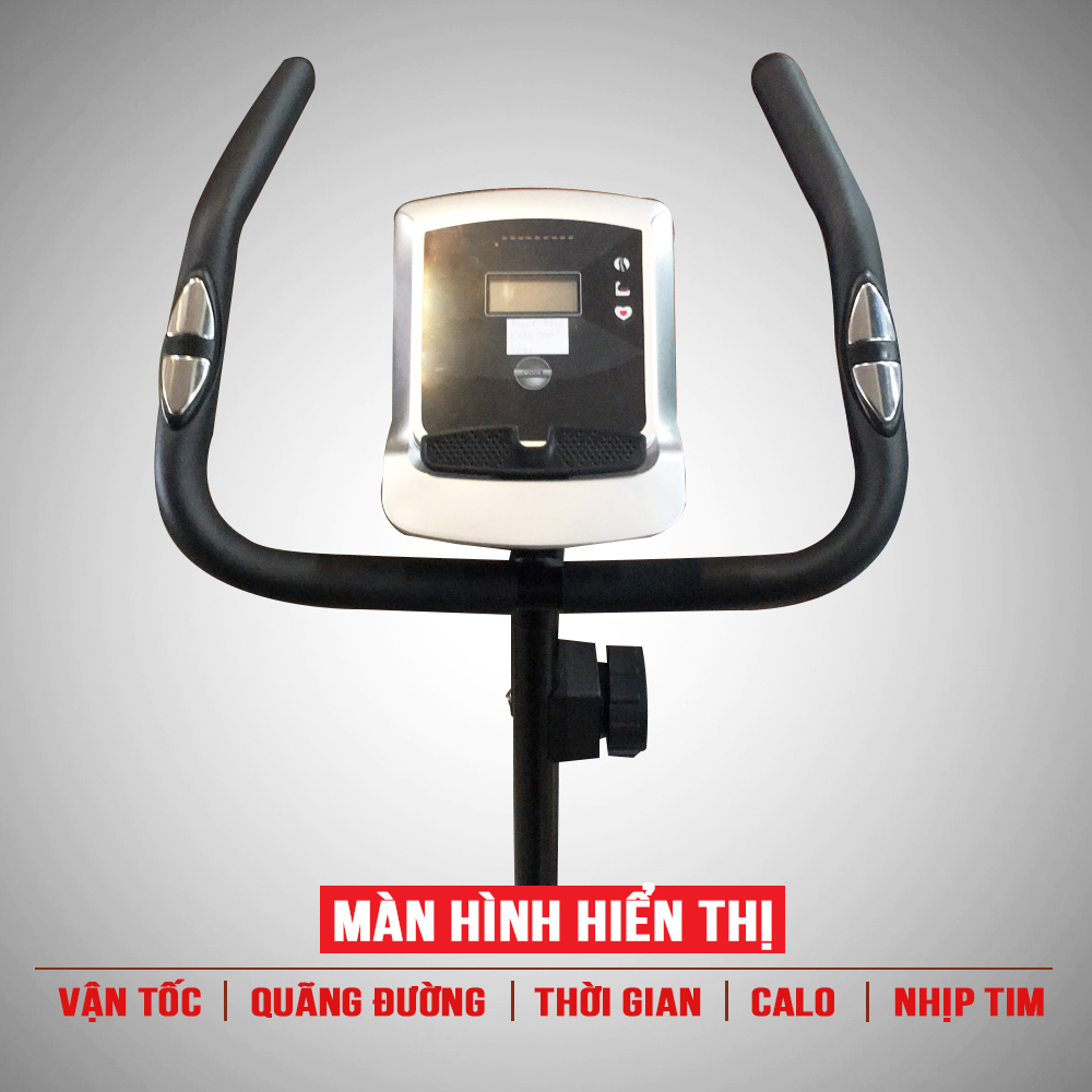 Màn hình hiển thị của máy tập đap Xe Royal 581C