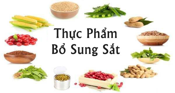 Bổ sung sắt với các thực phẩm chứa hàm lượng sắt cao